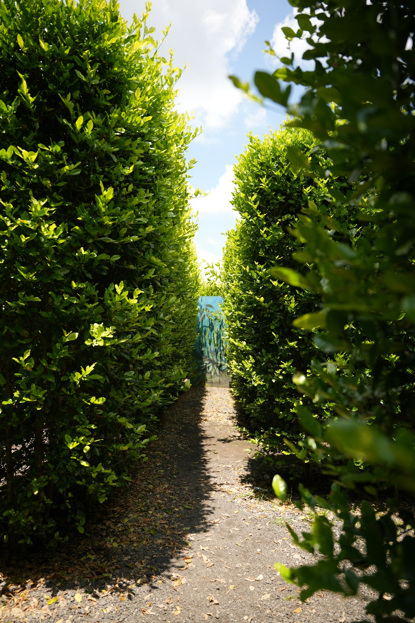 Textura de laberinto profundo