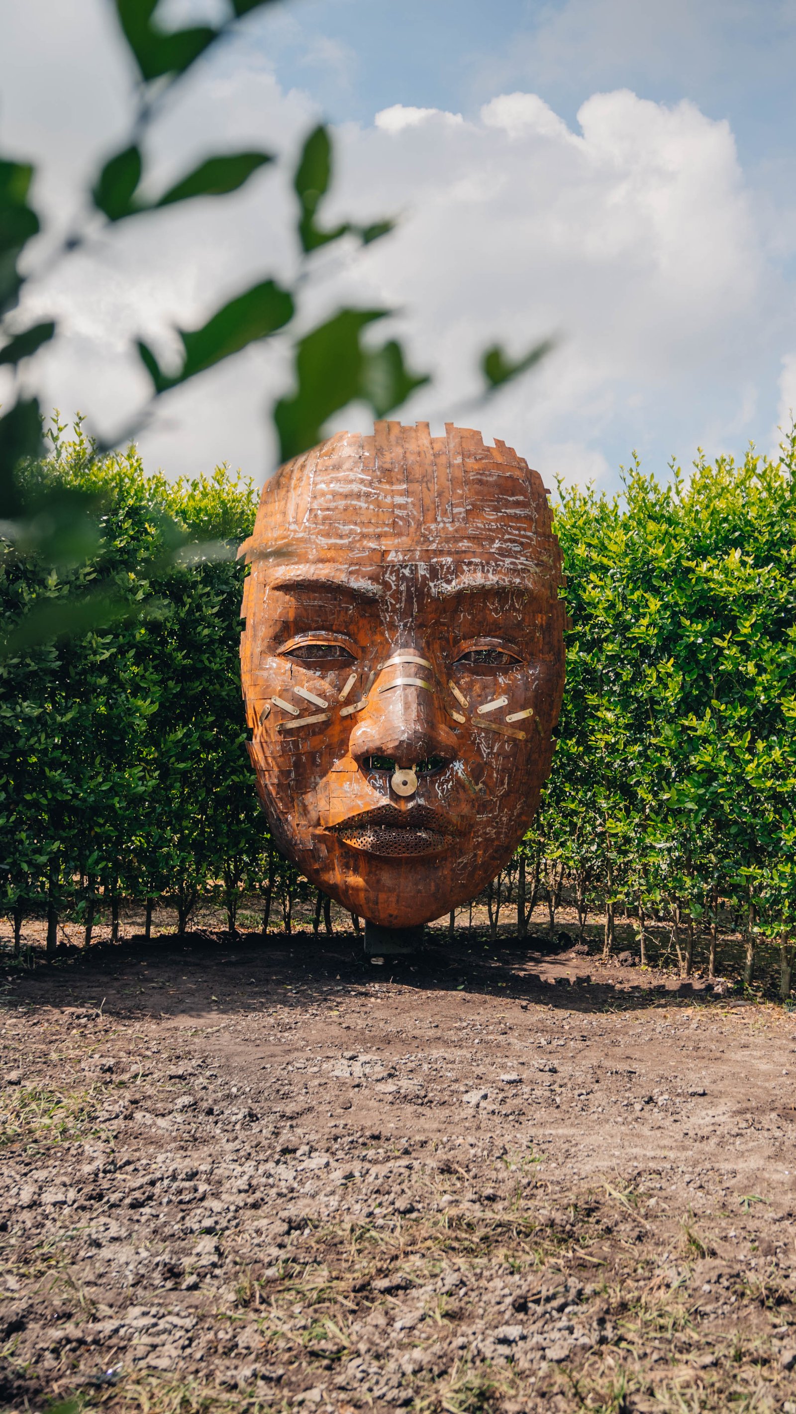 Experiencia natural en Kindia Park