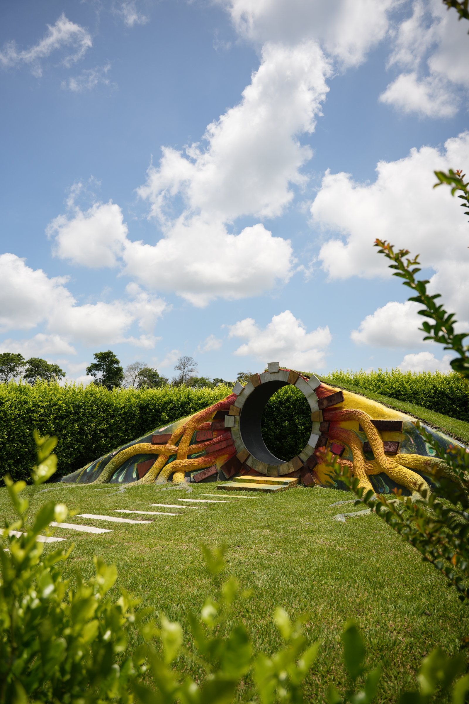 Raíces de los gigantes